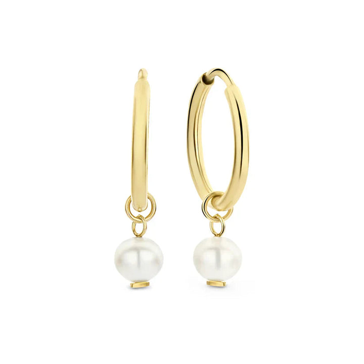 Delia Crest Earrings | Gold 0