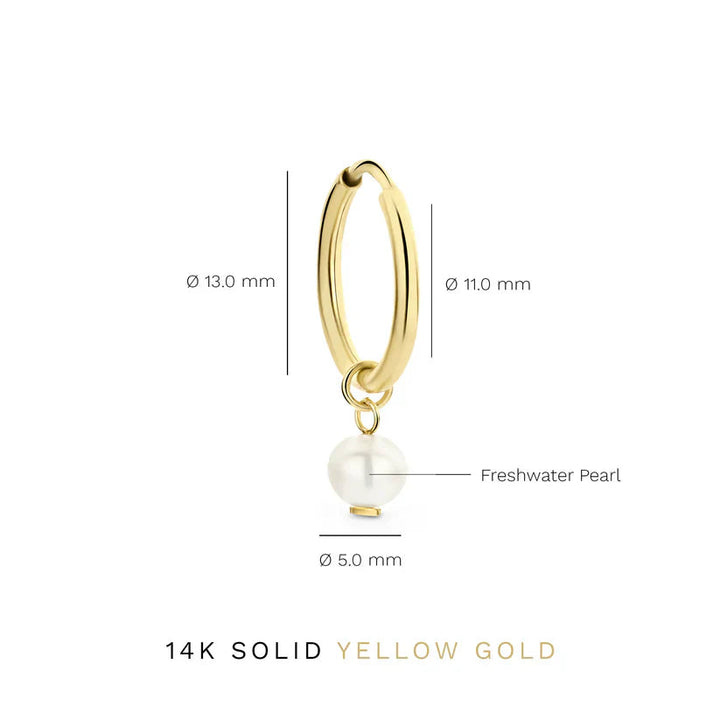 Delia Crest Earrings | Gold 3