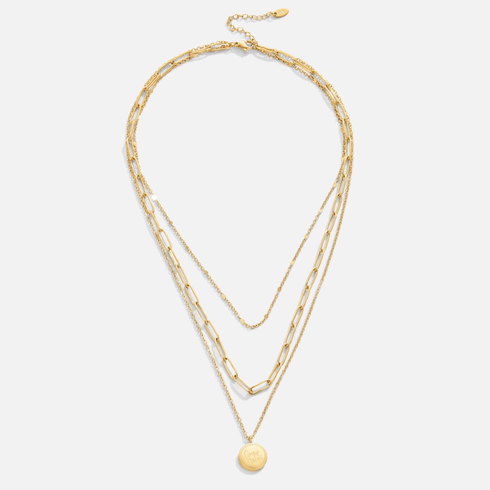 Janie Coin Layered Necklace 3