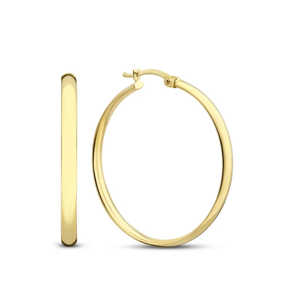 Noa Gold Earrings 0