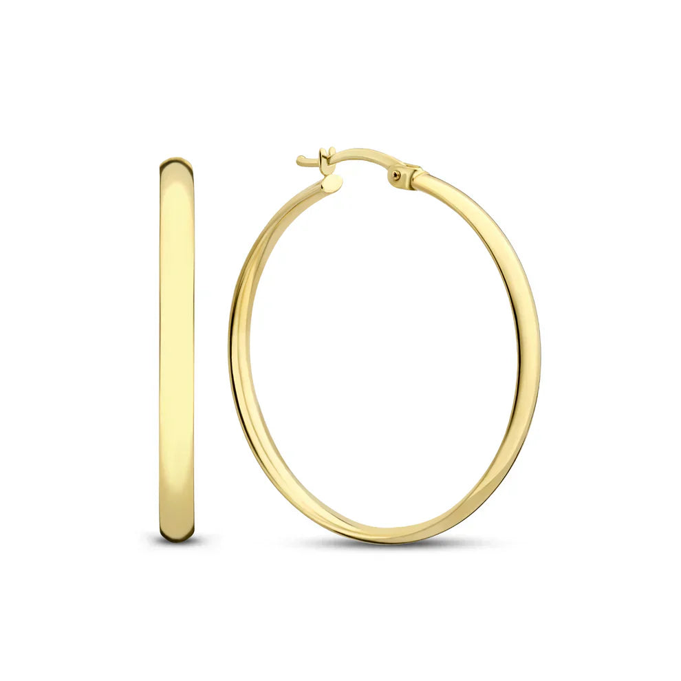 Noa Serane Earrings | Gold 0
