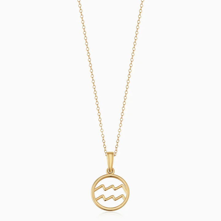 Zodiac sign necklace 0