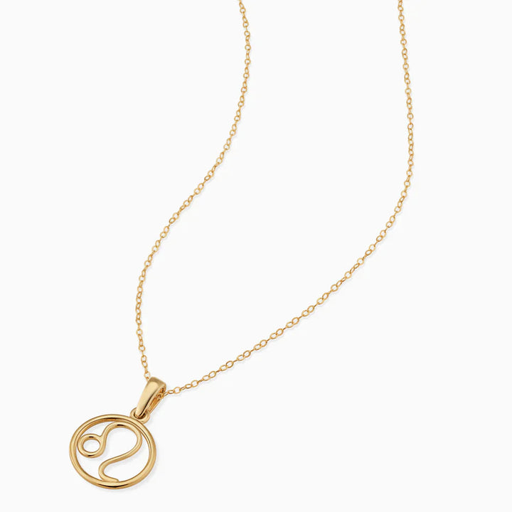 Zodiac sign necklace 3